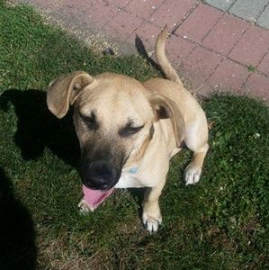 Meet your Posher, Matt